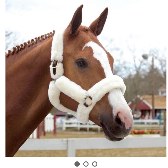Smartpak Sheepskin Shipping Halter - Picture 5 of 6